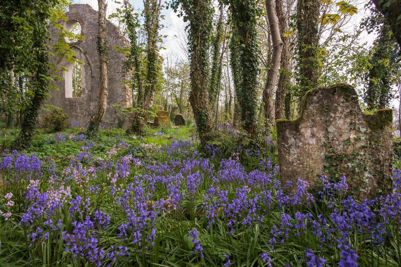 Beachcomber Cottages Ballyconneely Εξωτερικό φωτογραφία